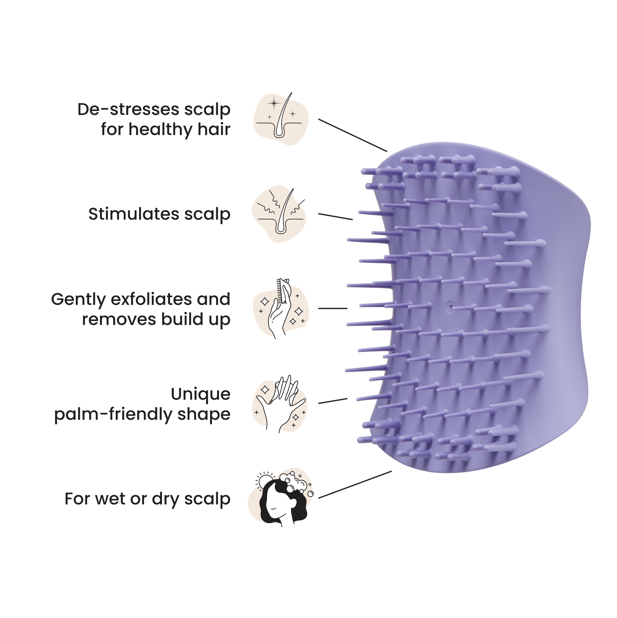 The Scalp BRANELIA MAC PRESTIGE Exfoliator & Massager